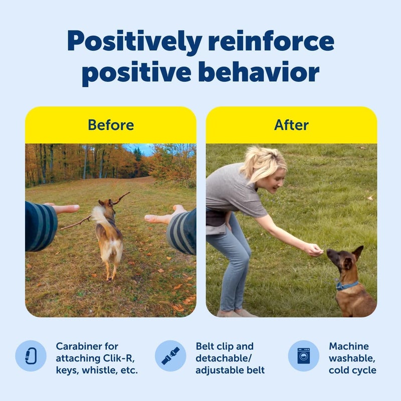 PetSafe Treat Pouch Sport - Durable and Convenient Dog Training Accessory in Black - Image 5