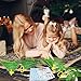 Renbuzhu 27Sets Christmas Crafts Nativity DIY Christmas Tree Stickers Play Set VBS Religious Scene Jesus Story Christian Storytelling Kit Church Decor - Image 4