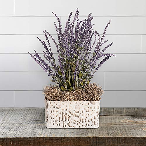 FloraCraft Spanish Moss 2 Ounce (1L) Natural - Image 2