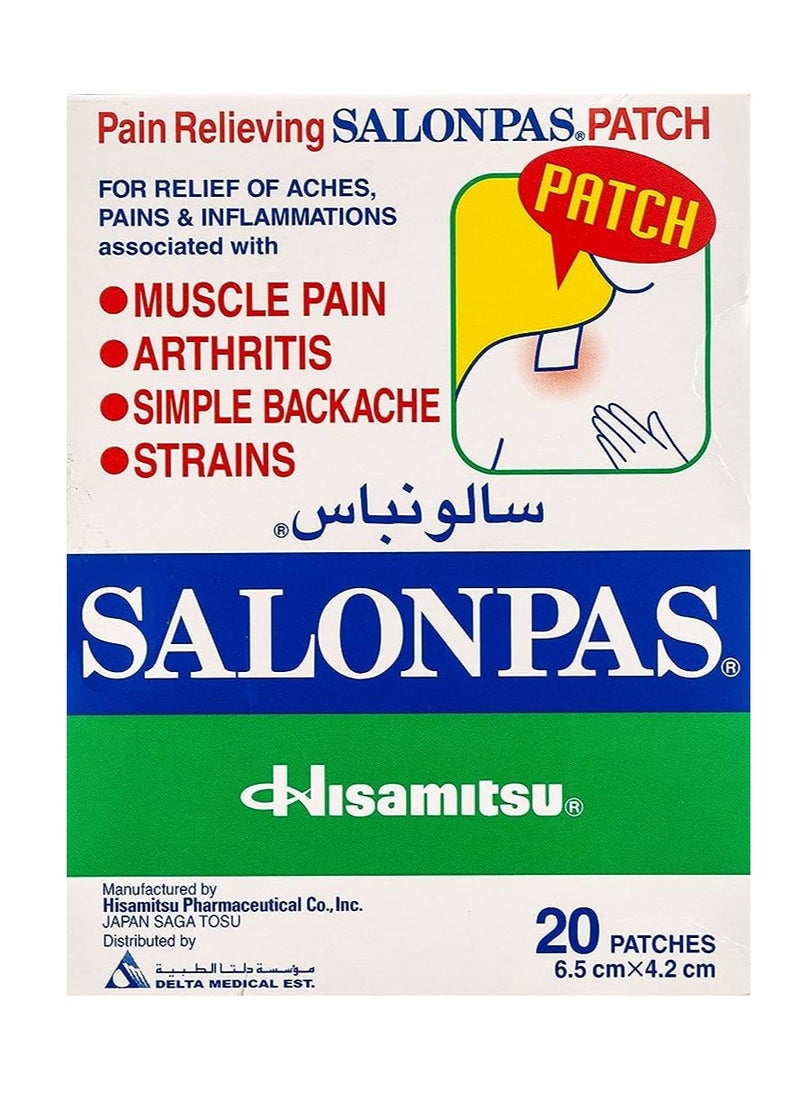 Salonpas Salonpas Pain Relief Patch 20'S 