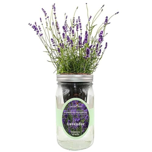Environet Hydroponic Herb Growing Kit, Self-Watering Mason Jar Herb Garden Starter Kit Indoor, Windowsill Herbs Garden, Grow Your Own Herbs from Organic Seeds (Lavender) - Image 1