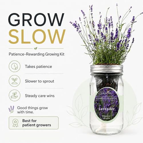 Environet Hydroponic Herb Growing Kit, Self-Watering Mason Jar Herb Garden Starter Kit Indoor, Windowsill Herbs Garden, Grow Your Own Herbs from Organic Seeds (Lavender) - Image 4