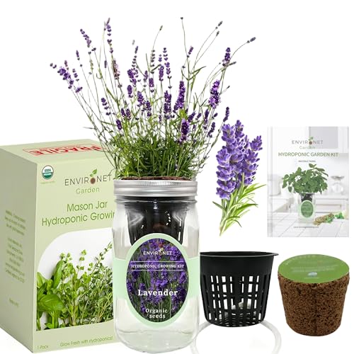 Environet Hydroponic Herb Growing Kit, Self-Watering Mason Jar Herb Garden Starter Kit Indoor, Windowsill Herbs Garden, Grow Your Own Herbs from Organic Seeds (Lavender) - Image 2