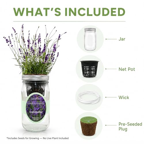 Environet Hydroponic Herb Growing Kit, Self-Watering Mason Jar Herb Garden Starter Kit Indoor, Windowsill Herbs Garden, Grow Your Own Herbs from Organic Seeds (Lavender) - Image 3