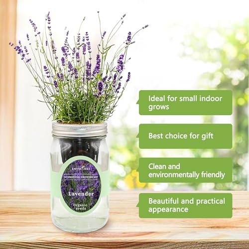 Environet Hydroponic Herb Growing Kit, Self-Watering Mason Jar Herb Garden Starter Kit Indoor, Windowsill Herbs Garden, Grow Your Own Herbs from Organic Seeds (Lavender) - Image 5