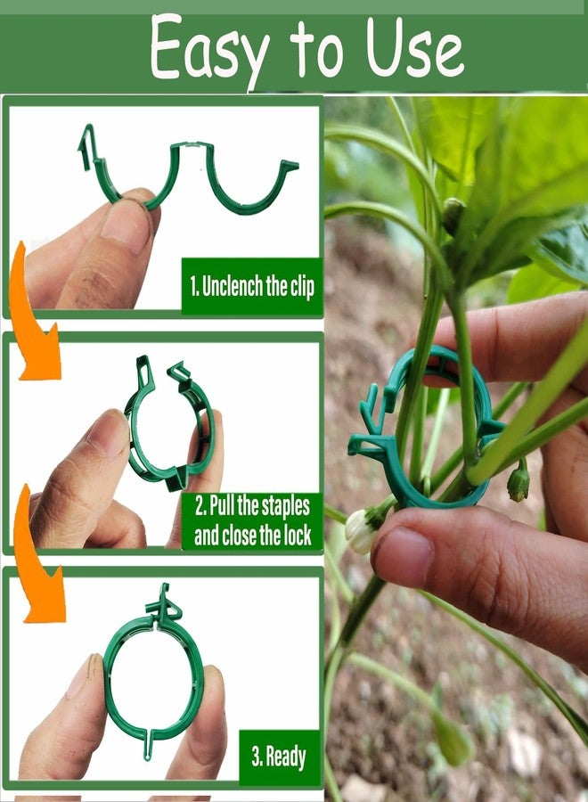 7Queen Plant Support Clips - Tomato Clips for String Trellis, Grape Vine Clips for Garden Netting Climbing Plants, Secured Plastic Plant Clip for Fixing Stem and Vine (150, Green) - Image 2