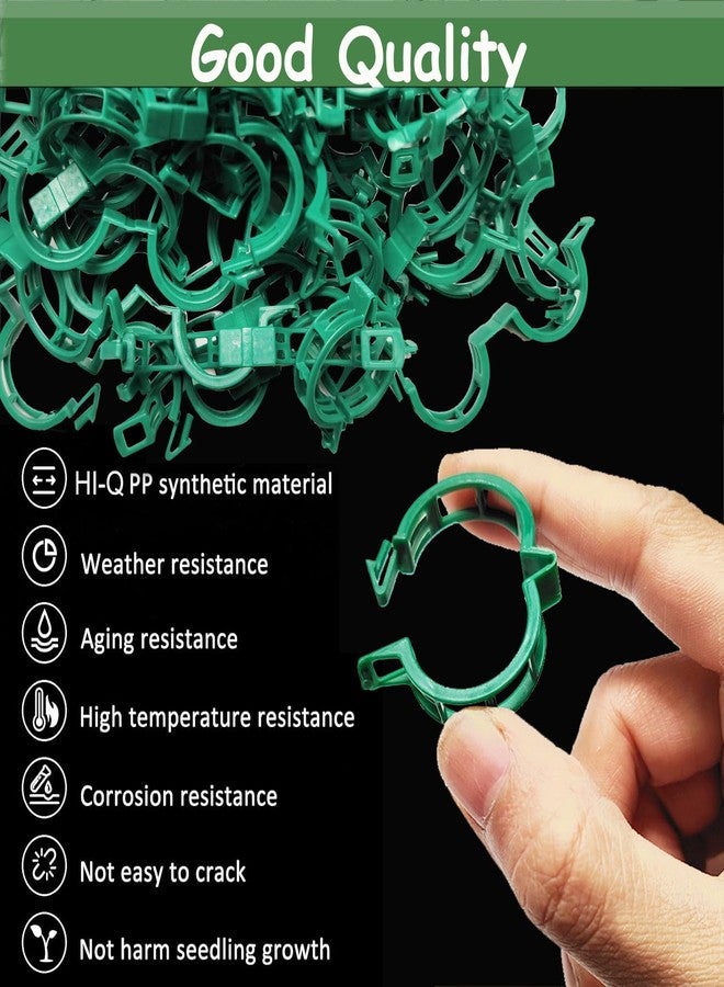7Queen Plant Support Clips - Tomato Clips for String Trellis, Grape Vine Clips for Garden Netting Climbing Plants, Secured Plastic Plant Clip for Fixing Stem and Vine (150, Green) - Image 4