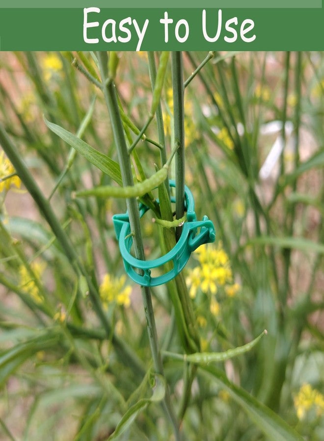 7Queen Plant Support Clips - Tomato Clips for String Trellis, Grape Vine Clips for Garden Netting Climbing Plants, Secured Plastic Plant Clip for Fixing Stem and Vine (150, Green) - Image 5