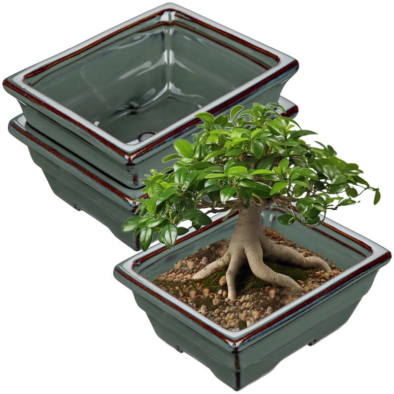 Villa Como Ceramic Bonsai Pots With Drainage Hole Set Of 2  Green Glazed Bonsai Planters For Indoor/Outdoor Use  Rectangular Shallow Bonzai Tree Pot For Succulent  Orchids  Cacti  Home  Patio  Garden  6.3""X4.9"" - Image 1
