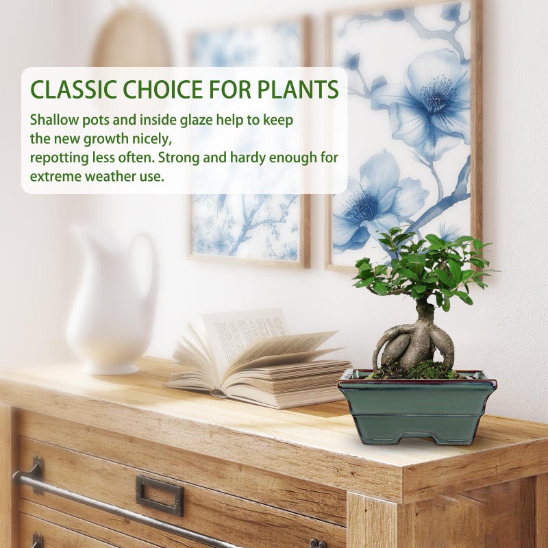 Villa Como Ceramic Bonsai Pots With Drainage Hole Set Of 2  Green Glazed Bonsai Planters For Indoor/Outdoor Use  Rectangular Shallow Bonzai Tree Pot For Succulent  Orchids  Cacti  Home  Patio  Garden  6.3""X4.9"" - Image 4