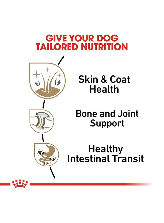 رويال كانين طعام كلاب رويال كانين بوميرانيان للبالغين، رغيف معلب في صلصة، علبة 3 أونصة (عبوة من 6 قطع) - Image 5