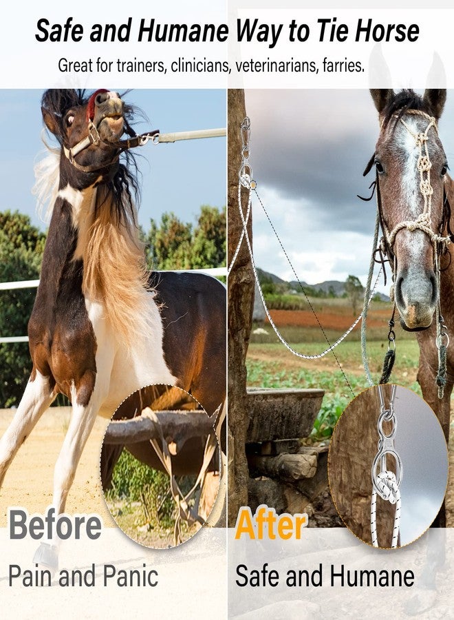 Debialo Horse Tie Ring, Horse tack and Supplies, Safe Horse Accessories,Horse Training Equipment with Eye Bolt,Quick snap,Humane Way Tie Ring,Prevent Horses from Pulling Back,Durable Steel - Image 5