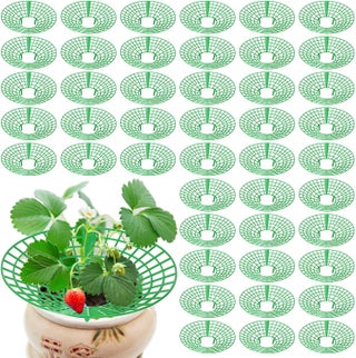 45 Pieces Strawberry Supports Strawberry Plant Holders Stand Waterproof Strawberry Plant Trellis Protectors Reusable Strawberry Growing Racks Frame for Plant Flower Fruit Strawberry Garden Planting - pzsku/Z1981388F40C847C3E936Z/45/1747233853/9f5b06de-f011-4e52-bc69-e390c35048c8