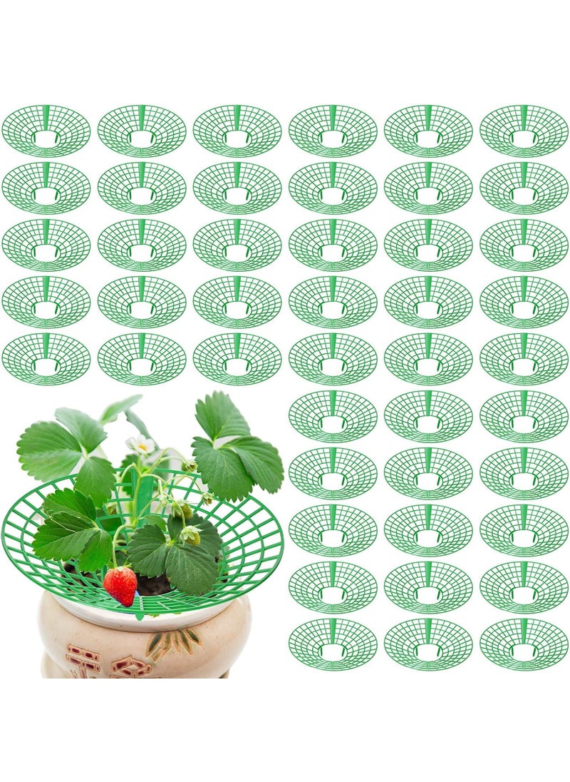 Nuenen 45 Pieces Strawberry Supports Strawberry Plant Holders Stand Waterproof Strawberry Plant Trellis Protectors Reusable Strawberry Growing Racks Frame for Plant Flower Fruit Strawberry Garden Planting  - Image 1