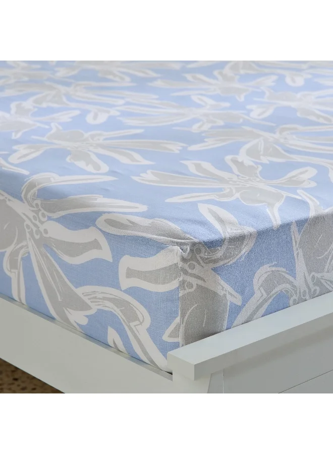 Home Box Malta-Evelyn Printed Cotton King Fitted Sheet - 180x200+33 cm