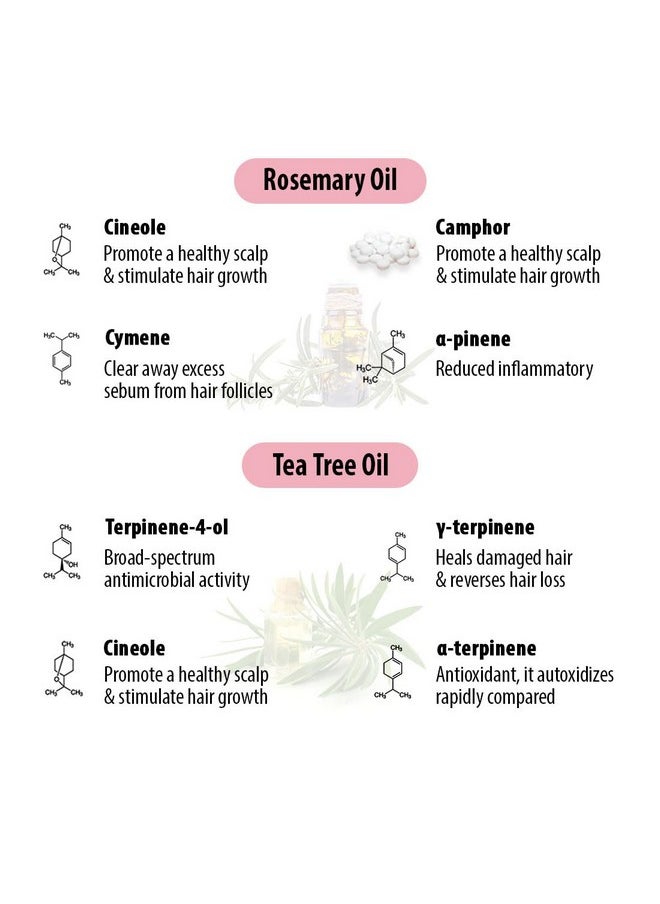 Keya Seth Aromatherapy Keya Seth Aromatherapy Schoolers Hair Oil For School Going Kids Girl & Boy With Rosemary & Tea Tree Oil Strengthens & Promotes Hair Growth 200Ml  - Image 5