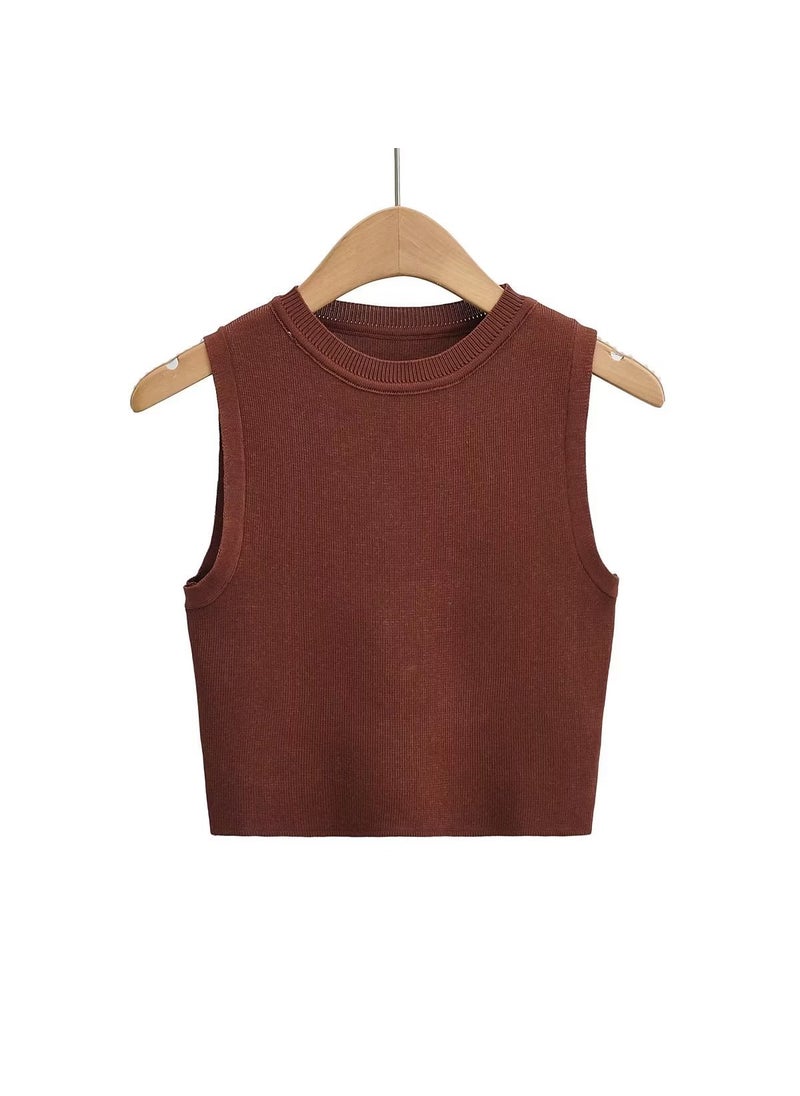 Generic - 2023 Autumn New Slimming Round Neck Knit Vest Womens Style Sleeveless Striped Pullover Tailoring Your Silhouette Dark brown - Image 1
