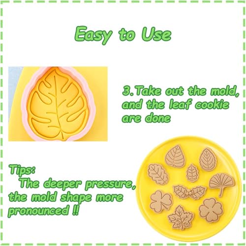 Lutoku 8 Piece Leaf Cookie Cutter Set, Autumn Shapes for Baking, Maple, Oak, Holly, Shamrock, Ginkgo, 4 leaf Clover Embossed Biscuit Cutters Molds for Fall, Thanksgiving, Holiday & Party Treats (Fall) - Image 4
