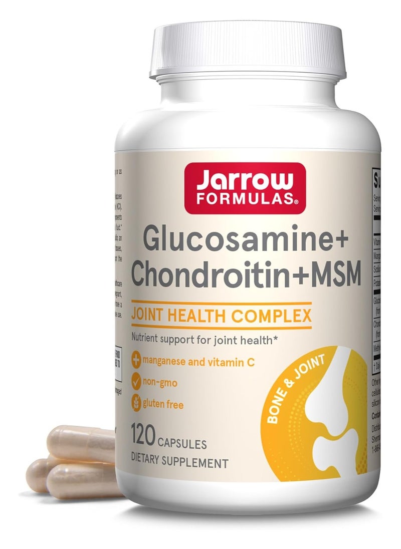 Glucosamine + Chondroitin + MSM - 240 Capsules - pzsku/Z1985CF6F63C9E03521DFZ/45/_/1736876591/1c36b942-259d-4177-bb6f-7f5e0a726884