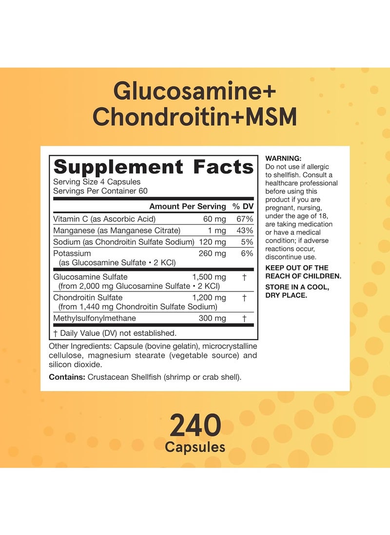 Glucosamine + Chondroitin + MSM - 240 Capsules - pzsku/Z1985CF6F63C9E03521DFZ/45/_/1736876611/6a061f7e-b4fd-4440-b016-18db79a964a0