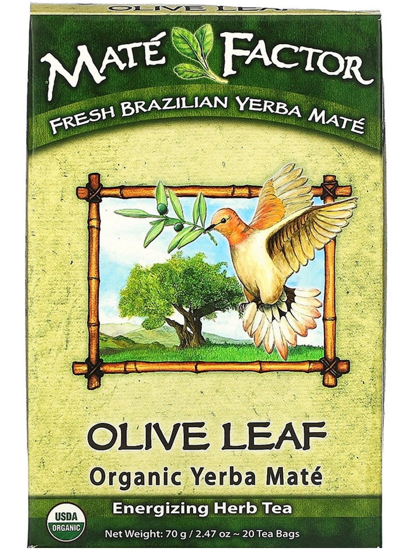 The Mate Factor - Olive Leaf Organic Yerba Mate, 20 Tea Bags - Image 1