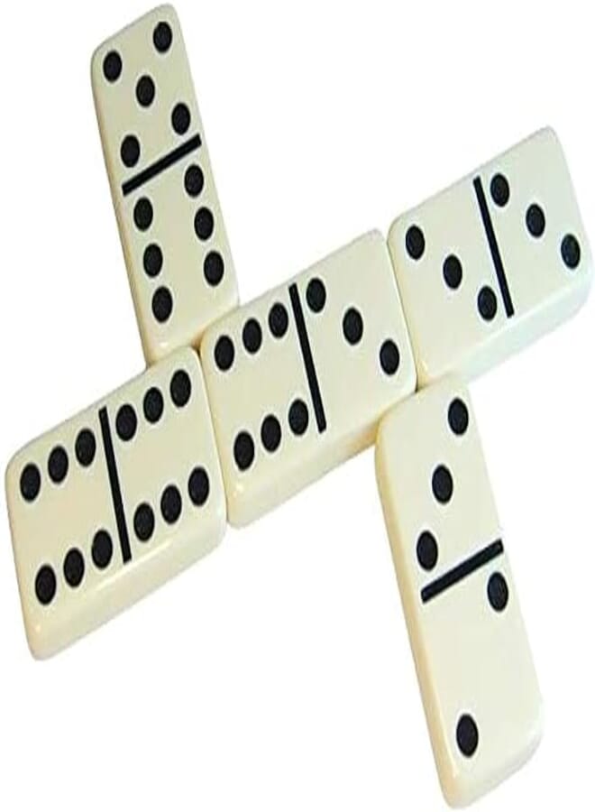 one year warranty_Double Six Dominoes Family Game - Set Of 2812111
