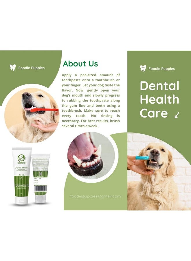 Generic Dog Dental Oral Care Combo Of Toothpaste And Teething Chew Toy - (Golf Ball + Coolmint Toothpaste, 100Gm) Soothing Mix Of Clove And Cinnamon Oil And Hard Chew Toy  - Image 4