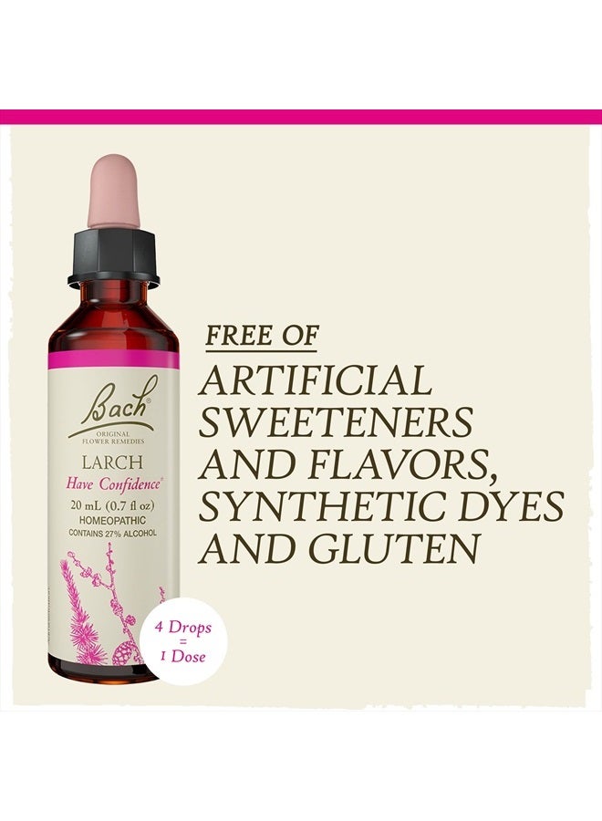 Bach Original Flower Remedies, Larch for Confidence, Natural Homeopathic Flower Essence, Holistic Wellness and Stress Relief, Vegan, 20mL Dropper  - Image 5