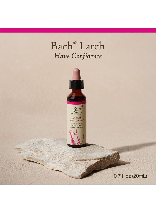 Bach Original Flower Remedies, Larch for Confidence, Natural Homeopathic Flower Essence, Holistic Wellness and Stress Relief, Vegan, 20mL Dropper  - Image 2