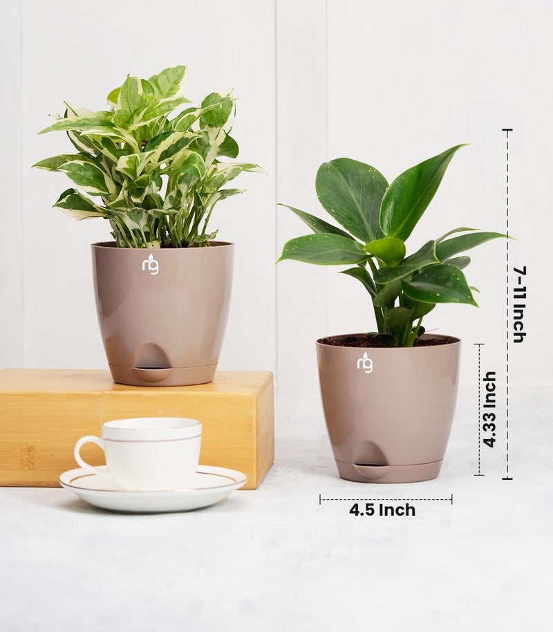 Nurturing Green® Combo of 4 Self Watering Flower Pots for Plants | Plastic Plant Pots | Planter Pots for Home, Indoor Living Room,Garden (Color: Mocha, Size: 11.5cm x 11cm Each) - Image 4