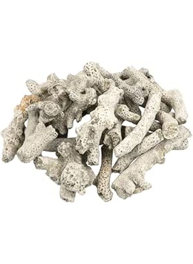 YOLUFER 500g Coral Stone Fish Tank Filter Material Fish Tank Filter Media Decoration for Fresh Water - Image 1