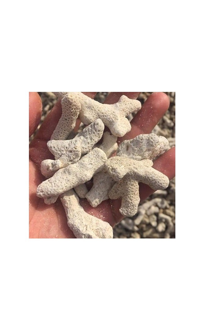 YOLUFER 500g Coral Stone Fish Tank Filter Material Fish Tank Filter Media Decoration for Fresh Water - Image 2