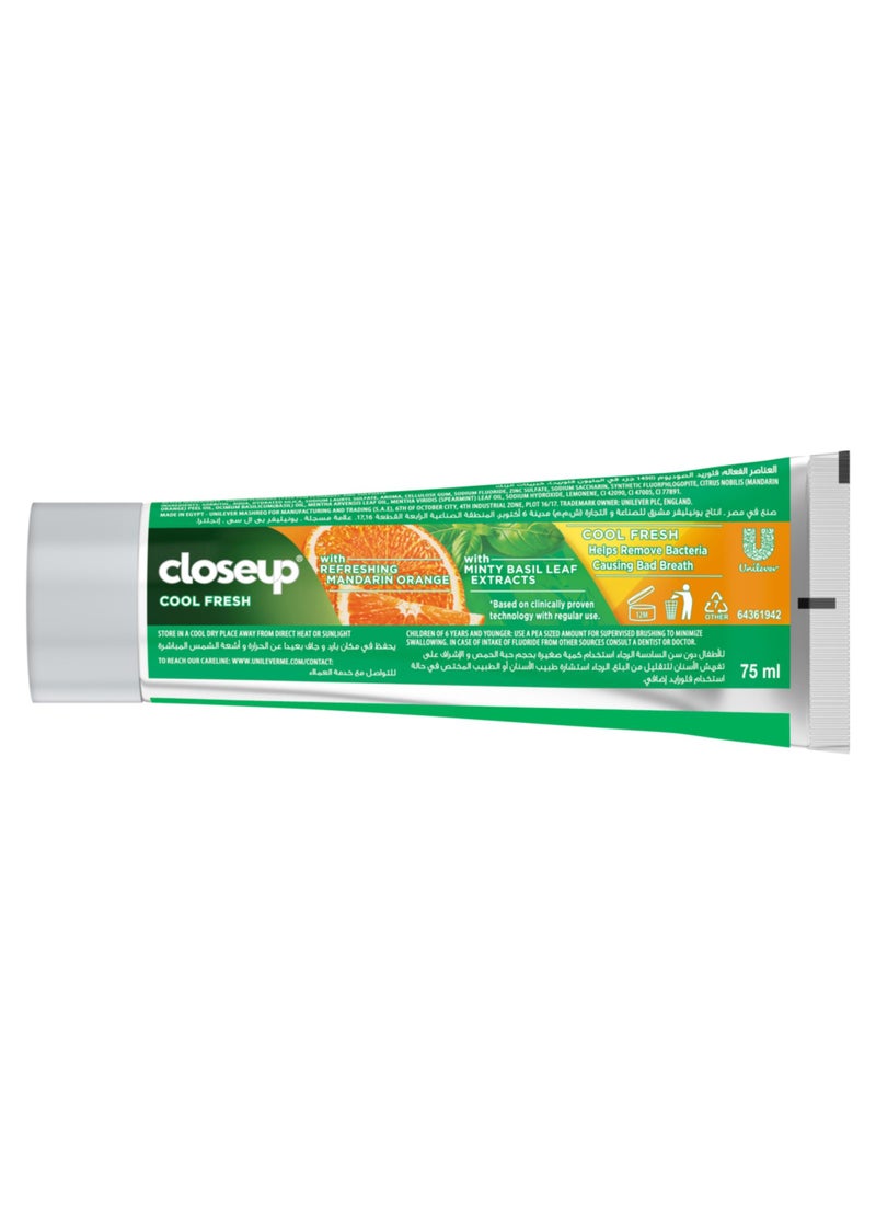 Closeup Citrus Mint Cool Fresh Toothpaste 75ml - Image 2