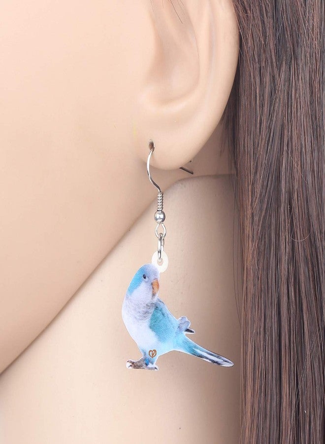 DUOWEI Acrylic Cute Monk Parakeet Parrot Bird Earrings and Necklace Set for Women Dangle Pendant Jewelry Charms Gifts (Blue) - Image 3