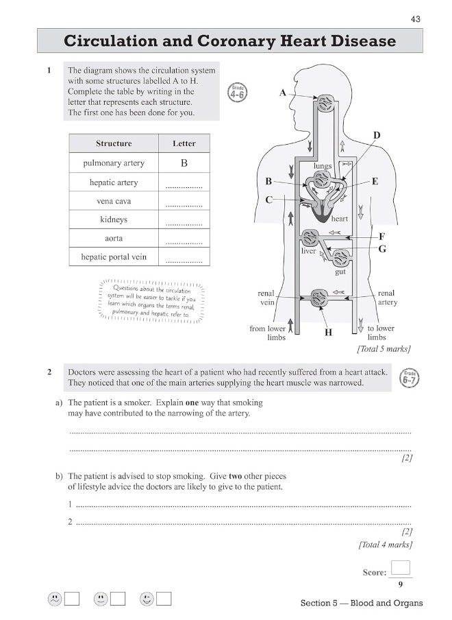 null - Grade 9-1 Edexcel International GCSE Biology: Exam Practice Workbook (includes Answers) - Image 1