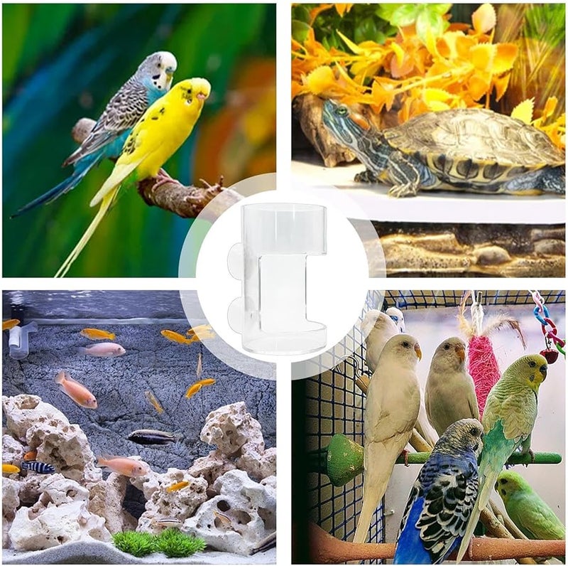 2 Pcs Betta Fish Feeder Shrimp Feeding Dish With Suction Cup Transparent Aquarium Accessories - Image 4