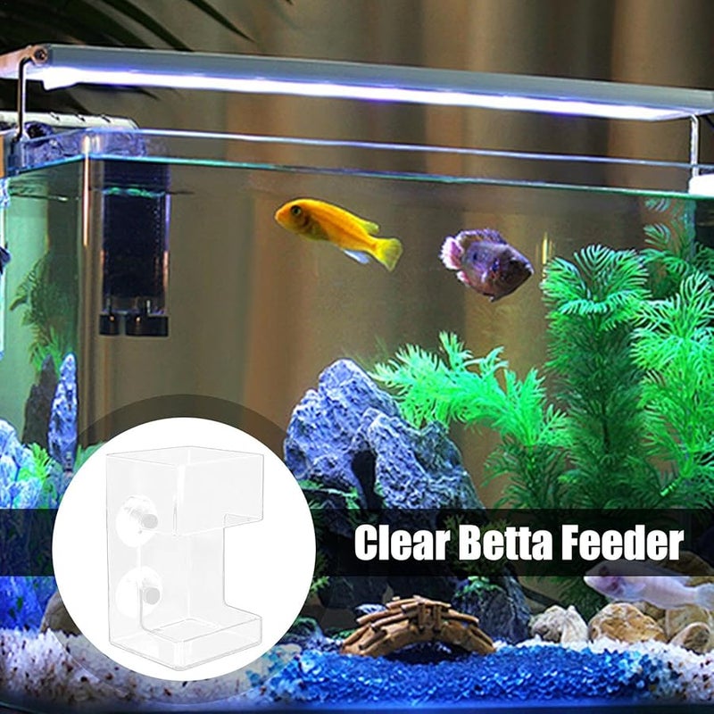 2 Pcs Betta Fish Feeder Shrimp Feeding Dish With Suction Cup Transparent Aquarium Accessories - Image 5