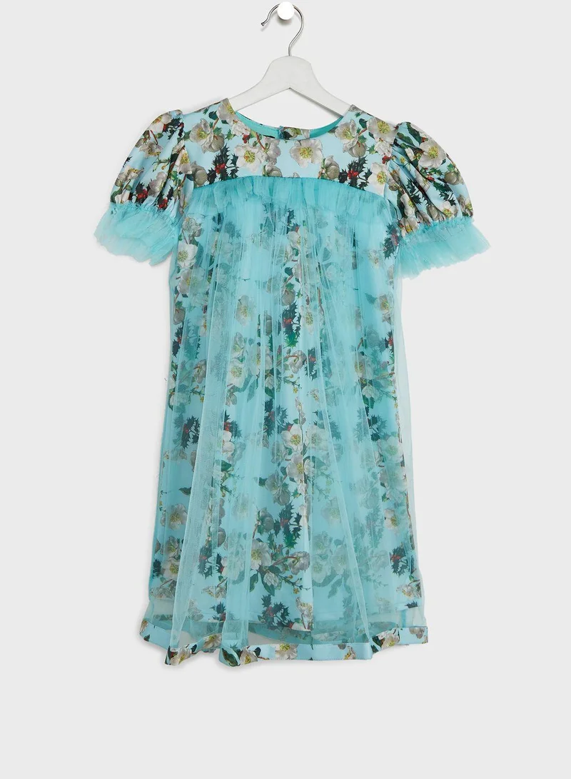 Little Golden Apple Floral Tulle Dress