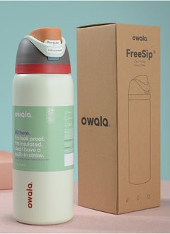 Freesip Insulated Stainless Steel Water Bottle With Straw For Sports And Travel, Bpa-Free, 32Oz, Grey