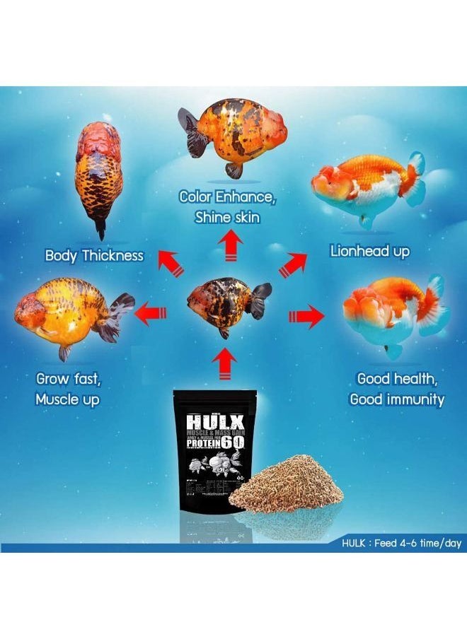 B&K HULX Goldfish Food Hi Protein Nutrient Absorption 500g and 100g - pzsku/Z198D447E3327057F6D15Z/45/_/1687503836/05f8db51-b85b-4a99-8da4-bbc98ec3fca1