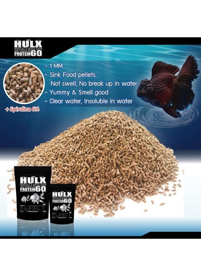 B&K HULX Goldfish Food Hi Protein Nutrient Absorption 500g and 100g - pzsku/Z198D447E3327057F6D15Z/45/_/1687503837/f0cd7040-e216-4951-8fc4-a1881df06ea2