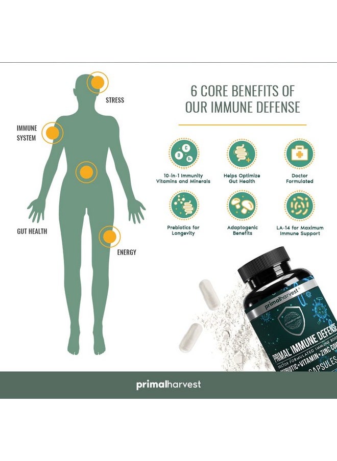 Primal Harvest Primal Immune Defense 10 In 1 Immune Support Supplement 60 Capsules Immune Vitamins With 7 Billion Cfu Pre And Probiotics Zinc Vit C B6 D3 K2 Immune Boosters For Adults  - Image 3