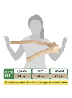 CHEWY BEAK Parrot tree branch perch made of solid java wood, for macaw parrots & big birds  - Image 2