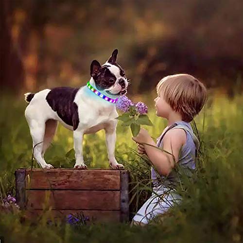 GS GLOWSEEN LED Dog Collar - Color Changeable Light Up Dog Collars USB Rechargeable,15 Light Effects Glow in The Dark Collar Weatherproof Fits for Small Medium Large Dog,Keep Your Pets Seen Safety High Visibility - Image 5