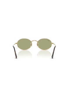 Ray-Ban 0Rb3547 Oval Sunglasses  - Image 4