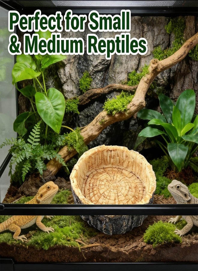 CJFNDFA Reptile Bowls,Reptile Water Dish Reptile Water Bowl Reptile Accessories Snake Water Bowl for Small Reptiles, Lizard & Snake - Practical Reptile Accessory for Feeding and Hydration - Image 3