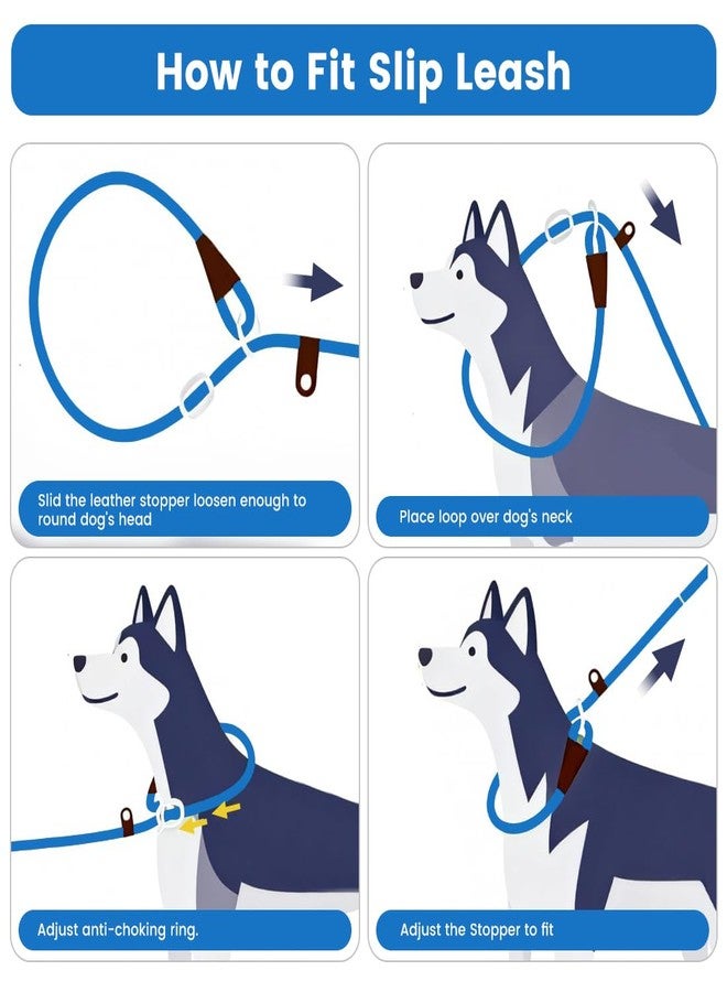 nets Tribe 6 FT Dog Leash for Large, Medium Dogs, Heavy Duty Dog Lead with Leather Tailor Connection, No Pull Training Lead Durable Rope Slip Leash, for Outside Walking, Playing, Camping, Yard (Blue) - Image 5