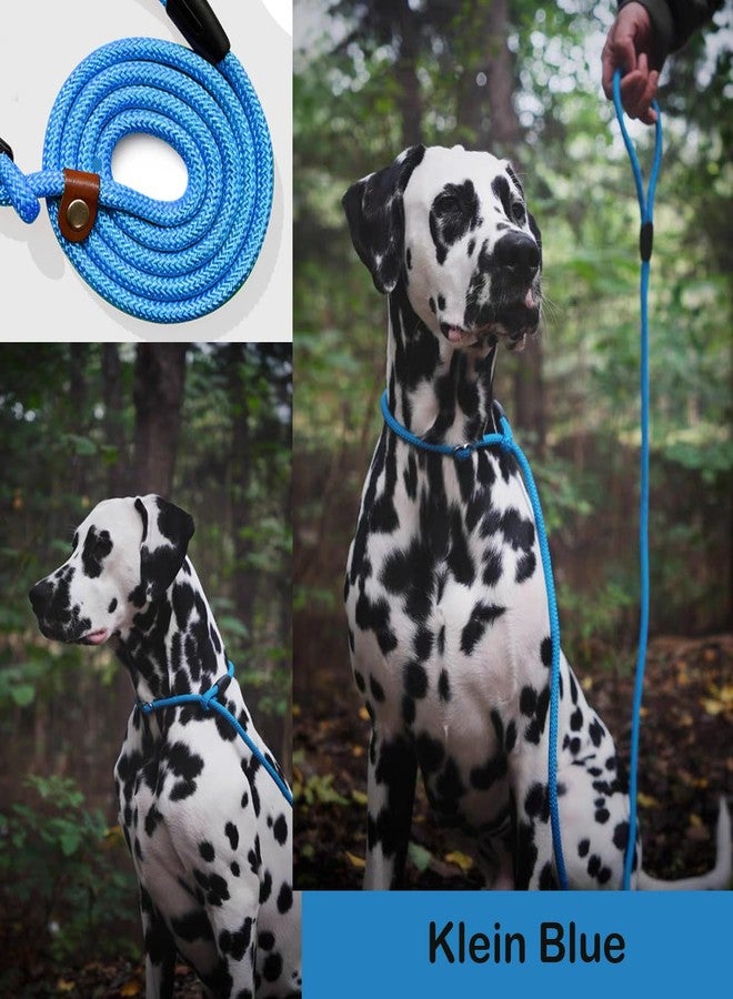 nets Tribe 6 FT Dog Leash for Large, Medium Dogs, Heavy Duty Dog Lead with Leather Tailor Connection, No Pull Training Lead Durable Rope Slip Leash, for Outside Walking, Playing, Camping, Yard (Blue) - Image 4