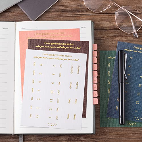 OIIKI Planner Monthly Tabs 20 Sheets, Monthly Tabs for Planners Index Tabs, Self Adhesive Month Tabs Stickers for Planners Office Study Journal Notebook Agendas Organizers Office Supplies - Image 3
