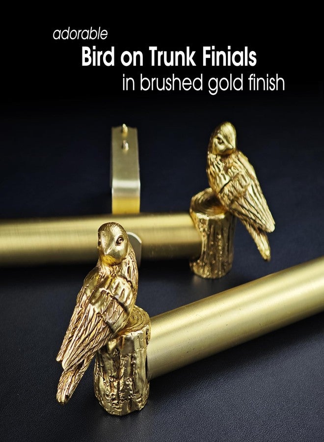 ILAISIHOME قضيب ستارة من ILAISIHOME بقطر 1-1/8 بوصة، مطلي بالذهب المصقول، مزين بنهايات على شكل طيور، قابل للتمديد من 72 إلى 144 بوصة، مناسب للنوافذ بعرض من 68 إلى 140 بوصة، عبوة واحدة - Image 3